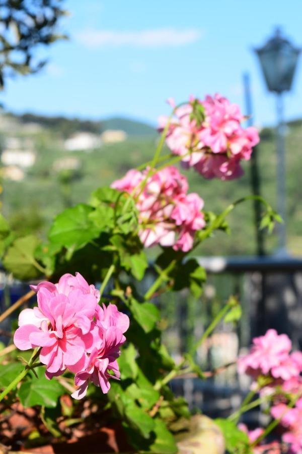 Villa Il Respiro Zoagli Εξωτερικό φωτογραφία